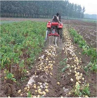 Machine à récolter les ignames, les carottes, l'ail, les oignons, les arachides, le manioc et les radis, très populaire
