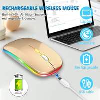 Ratón Ergonómico Inalámbrico Recargable de Modo Dual RGB Bluetooth, Ratón Bluetooth RGB Ultrafino, Ratón Silencioso para Computadora