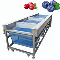 Efficiënte fruit sorteermachine met hoge nauwkeurigheid voor het sorteren van kiwi, mango en perzik |   Hoge sorteerpercentage, stabiele prestaties
