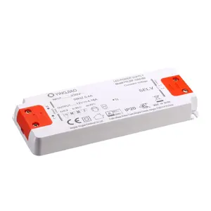 3 Tahun Garansi 50W 12V 24V DC Led Driver Keluaran Tunggal AC DC Catu Daya Sakelar untuk Lampu LED Rumah