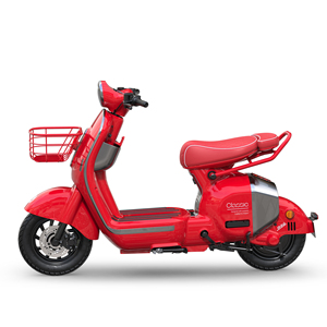 Motocicleta Confiable de Doble Asiento 60V24AH 1000W para Ciudad - Product Image 3
