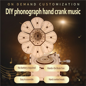 Jouets STEM pour enfants de 8 à 12 ans, boîte à musique en bois 3D, puzzle, kit de modèle à assembler soi-même, projet scientifique éducatif, plus de 500 pièces, unique - Product Image 4