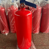 Extrudeuse de feu personnalisé, chargée avec de la poudre, 10lb