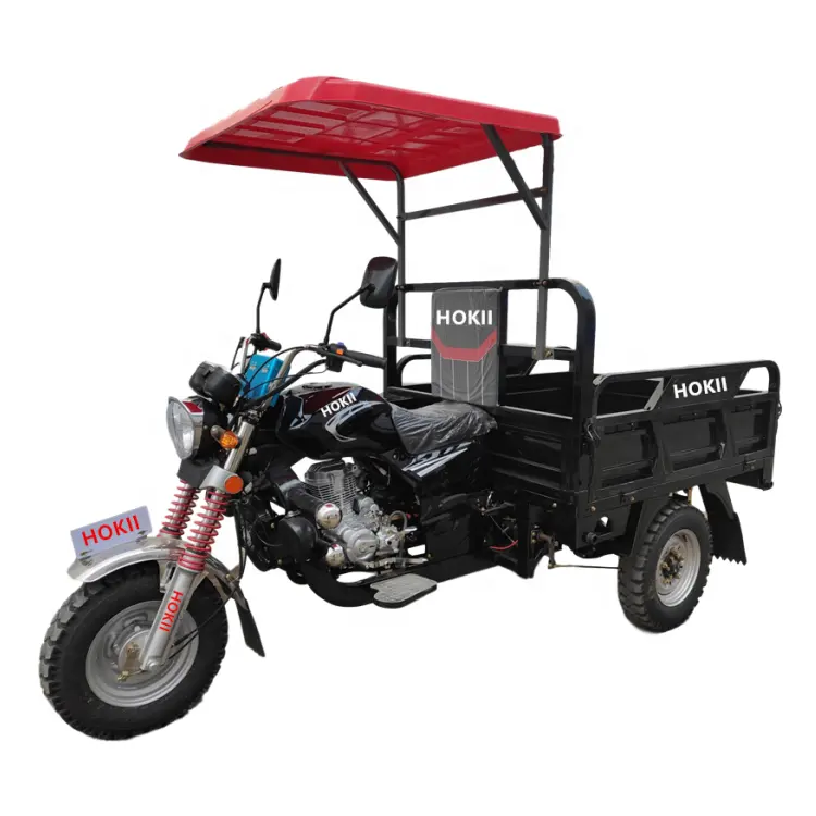 Triciclo motorizzato benzina cargo nuovo 3 ruote moto tre ruote moto chopper 3 ruote triciclo elettrico in vendita
