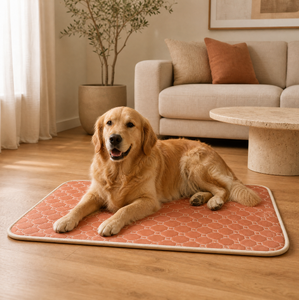 ZT Petrico Kennel Dog Bed <b>Mat</b> Four Seasons Universal Pet <b>Mat</b> Summer Ice <b>Mat</b> <b>Small</b> Dog Teddy Bear Sleeping Breathable Waterproof - Product Image 2