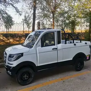 Chinese low speed electric pickup truck two seats electric utility car for disabled import from China