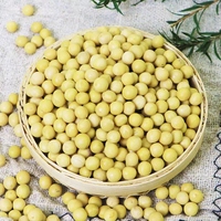 Graines de soja jaunes en vrac, soja de première qualité, nouvelle récolte, non-OGM, pour la cuisson, la germination et la transformation alimentaire