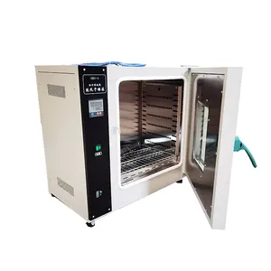 Hot Air Drying Oven Industrial Drying Oven Power Heating Drying Chamber Laboratory Oven