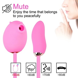 Vibrateur à double stimulation pour les mamelons, 7 vitesses, rechargeable par USB, masseur du point G et du clitoris, silicone écologique, jouet sexuel pour adultes pour femmes - Product Image 1