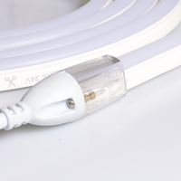 Bandes lumineuses LED néon flexibles 220V/110V/24V/48V IP68 étanches pour extérieur, décoration de signalétique DIY, 10x15mm, monocolores, garantie 10 ans