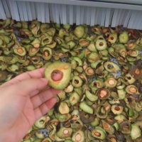 Automatische Gedroogde Avocado Fruit Drogen Lijn Machine Efficiënte Plantaardige Droogapparatuur