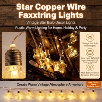 Einzigartige Vintage-Stern-Glühbirnen LED-Lichterkette Transparenter Kupferdraht Innenbereich 4M Hängende Weihnachts-Hochzeits-Party-Heimdekoration
