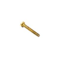 Screw Fasteners Stainless Steel Torx Pan Head Bolts Iso7380 Torx Security Bolt