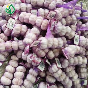 <span class=keywords><strong>Prix</strong></span> de l'<span class=keywords><strong>ail</strong></span> <span class=keywords><strong>rose</strong></span> 1 KG/BAG 5.5CM Poids de l'<span class=keywords><strong>ail</strong></span> pour le marché du Ghana - Product Image 3