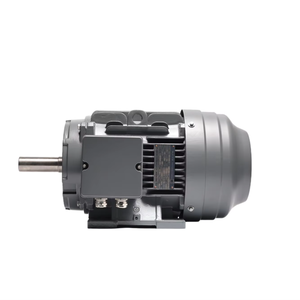 Motore Elettrico <span class=keywords><strong>AC</strong></span> Trifase 11KW 15KW <span class=keywords><strong>18.5KW</strong></span> 22KW 30KW 37KW 45KW 55KW 75KW 50Hz 2950RPM, Motori a Induzione Asincroni - Product Image 2