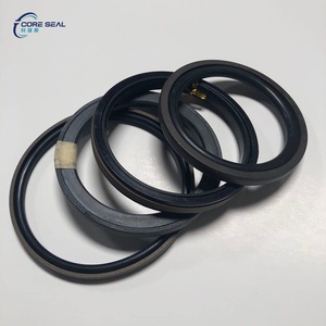 Kit de Reparación de Inyectores de Cilindro Hidráulico para Elevación y Dirección Voe11709817, Kit de Reconstrucción Ishift, Kit de Juntas de Cilindro Hidráulico para <span class=keywords><strong>Volvo</strong></span> - Product Image 1