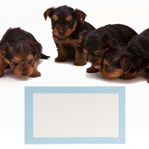 Couches d'apprentissage jetables personnalisées de qualité supérieure pour animaux de compagnie – Fournitures d'entraînement pour animaux - Product Image 1
