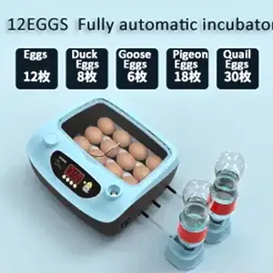 Novo Design 176 automático Mini codorna avestruz frango galinha incubadora de ovos máquina incubadora para venda