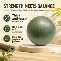 Ensemble d'entraînement portable Pilates et Yoga : Tapis PU 5mm, Bracelets de musculation 2LB, Bande élastique, Ballon d'exercice, Haltères 3KG pour entraînements à domicile