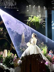 Luz Láser LED RGB de 10W para Bodas con Control por Aplicación/Voz y DMX512 para Escenarios, DJ, Bares, Fiestas, Efecto Cenicienta, Luces de Discoteca - Product Image 2