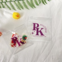 Sacs refermables givrés pour l'emballage de bijoux Petits sacs en plastique refermables en PVC avec fermeture éclair
