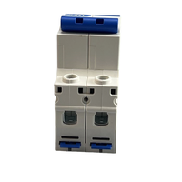Disjoncteur Miniature série NXB-63 CHNT NXB-63 3P C25 petit RCBO/MCCB/RCB avec courant nominal 25A et Protection LI