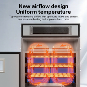 אינקובטור חכם אוטומטי לחלוטין ל-160 ביצים עם בקרה דיגיטלית וסיבוב אוטומטי של הביצים להדגרת תרנגולות, ברווזים ושלווים - Product Image 6