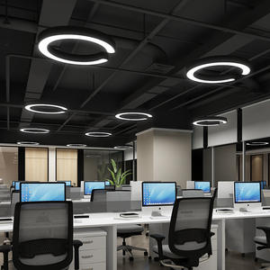 Круглое кольцо для тренажерного зала - Product Image 6