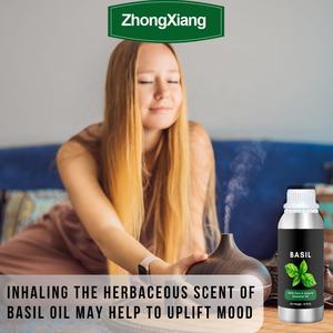 Aceite Esencial de <span class=keywords><strong>Albahaca</strong></span> Puro, Orgánico y Natural de Primera Calidad al por Mayor, 100% Fresco, Etiqueta Privada, Aceites Esenciales, Aceite de <span class=keywords><strong>Albahaca</strong></span> - Product Image 3