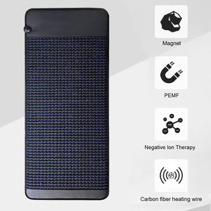 Alas Sauna penyembuhan profesional dosis tinggi 190*80cm 25-80 °C panas cemara 1-30hz PEMF perangkat Terapi magnetik - Product Image 4