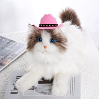 Chapeau pour animaux de compagnie chien chat logo personnalisé chapeau de Cowboy Halloween Pet universel drôle rétro Photo Prop chien accessoires poupée décoration