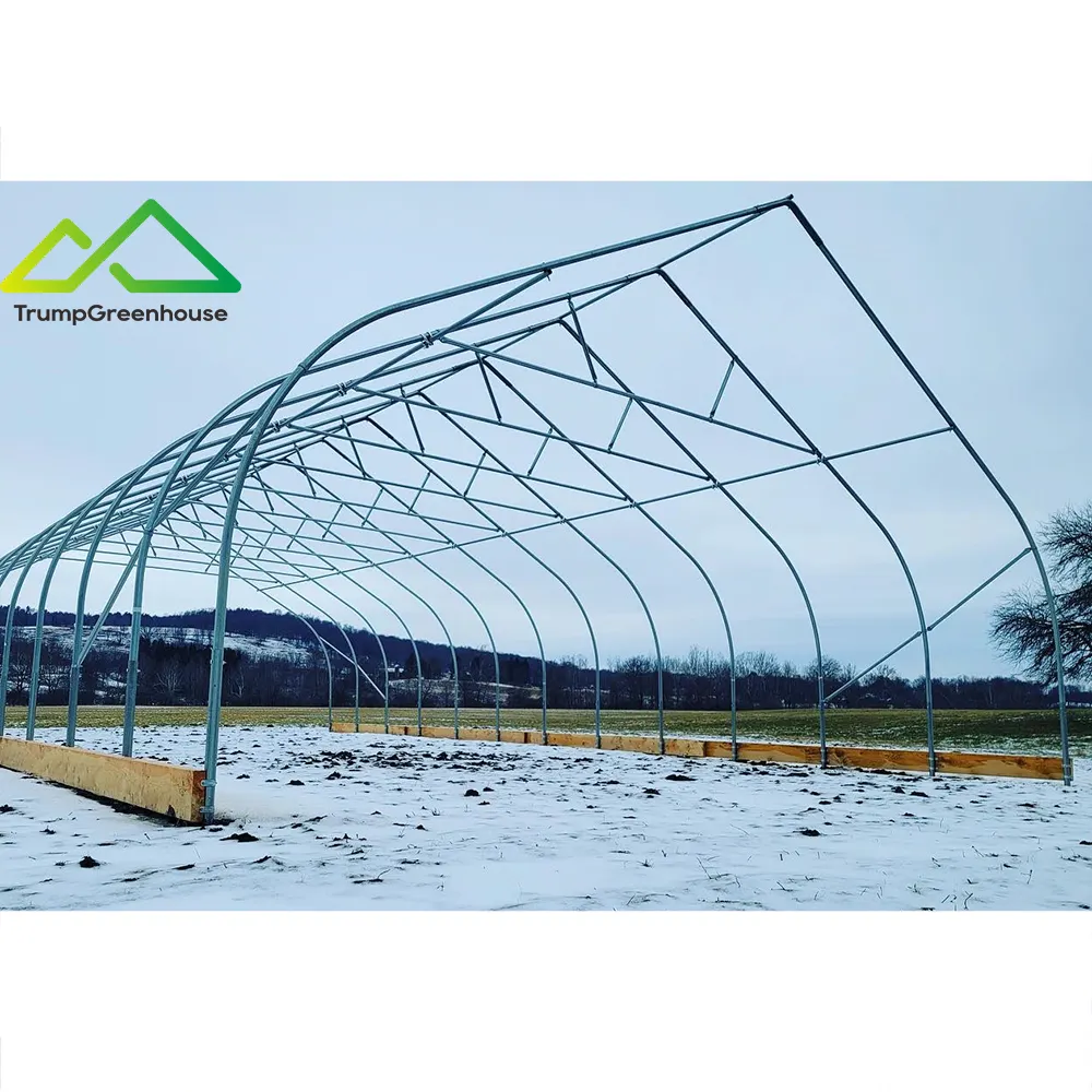 Invernadero agrícola Túnel de bajo costo invernadero estructura de acero