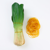 Bandas Elásticas de Goma Ecológicas para el Hogar, Resistentes, Duraderas, Transparentes, Amarillas, Profesionales, para Uso Diario