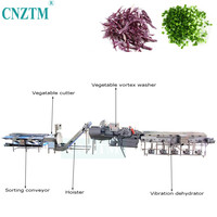 Machine industrielle de nettoyage de fruits et légumes en acier inoxydable 304, haute efficacité, multifonctionnelle, faible consommation, lavage prolongé
