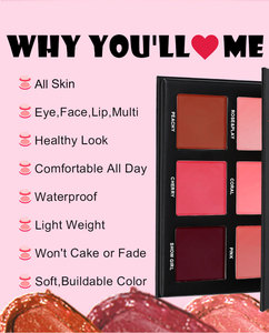 Custom Logo Cosmetics Cheek Cream Blusher 6 in 1 Lasting Pigments <strong>Matte</strong> Finish Pink <strong>Blush</strong> Palette - Product Image 5