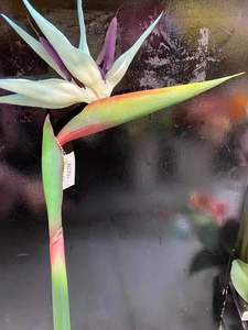 <span class=keywords><strong>Fleurs</strong></span> de <span class=keywords><strong>Strelitzia</strong></span> artificielles en soie tropicale pour la décoration de la maison - Product Image 3