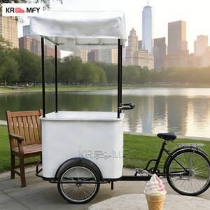 Carrito de Helados Móvil de Fibra de Vidrio con Pedales Eléctricos, Estilo Cafetería - Product Image 5