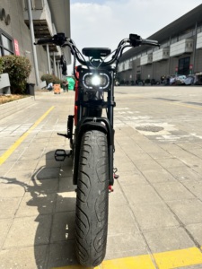Bicicleta de 20 Pulgadas con Motor Trasero sin Escobillas de 500 Vatios, Batería de Litio Plegable para Adultos X11, Motor Trasero de Alta Potencia de 500w - Product Image 2