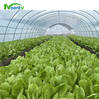 Canaux NFT en PVC de haute qualité pour la culture de légumes en serres agricoles, équipement de système hydroponique