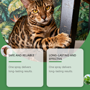 EelJoy Spray portatile per allenamento per gatti con erba gatta e Goji estratto di bacche 100ml nebbia calmante per gioco e interazione all'ingrosso - Product Image 5