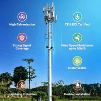 定制设计热镀锌Q355B钢制单柱塔5G基站通信单柱塔，使用寿命50年