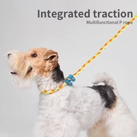 Fournitures pour animaux de compagnie usine refonte meilleure vente chien Slip plomb pour la formation corde ronde chien formation collier laisse laisse pour animaux de compagnie