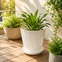 Divers pots de fleurs pour plantes d'intérieur, de jardin et d'extérieur