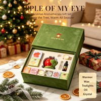 Coffret Cadeau Aromathérapie Pomme FANDOOS – Chauffe-Bougie de Noël, Cire Parfumée, Huile Aromatique, Cristal Parfumé, Boîte Cadeau