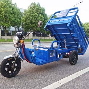 รถสามล้อไฟฟ้าสำหรับรถจักรยานยนต์แบบใหม่สำหรับบรรทุกสินค้า - Product Image 5