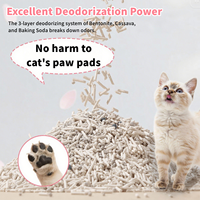 Litière pour chat AFP biodégradable, naturelle, à base de tofu, bentonite, manioc et yucca, désodorisante, faible en poussière, à agglomération rapide