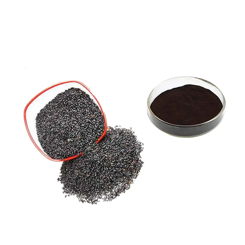 Black Rice Extract 30:1 Extraction of Black Rice Anthocyanin Black Rice Concentrated Powder