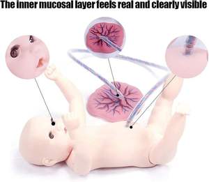 실물 크기 인간 신생아 훈련 모델 PVC 탯줄 태반 관리 모델 신생아 시뮬레이터-교육 교육 교육 아기를위한 - Product Image 4