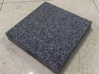 Dalles de pavage en granit noir Sésame G654, flammées, antidérapantes, modernes, 30 mm d'épaisseur, pour sol extérieur, allée, patio