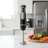 Mixeur Plongeant Électrique Multifonctionnel à Deux Vitesses Variables, Haute Vitesse, en Acier Inoxydable, pour Usage Domestique (Vente en Gros)